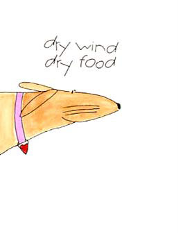 dry wind, dry food